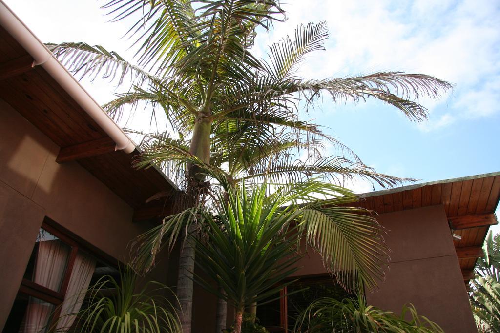 Dunedin Star Guesthouse Swakopmund Εξωτερικό φωτογραφία